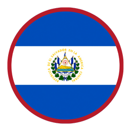 El Salvador - The best Container Transportation Service - B&C Luxury Auto